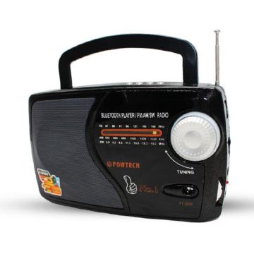 Radio FM MP3 Rechargeable POWTECH PT-908-C38 Avec Emplacement Carte Mémoire