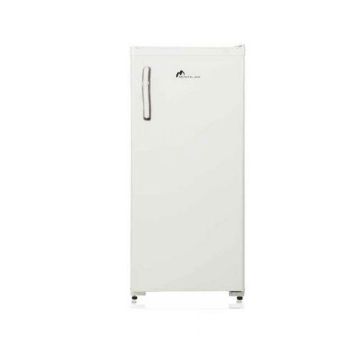 Réfrigérateur MONTBLANC FB23 230 Litres Defrost - Blanc