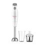 Mixeur Plongeant EASYCHEF 2en1 DD452110 450W Blanc MOULINEX thumbnail